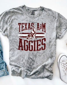 PREORDER TEXAS A & M COLOR BLAST